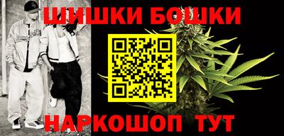 соль ск Новодвинск