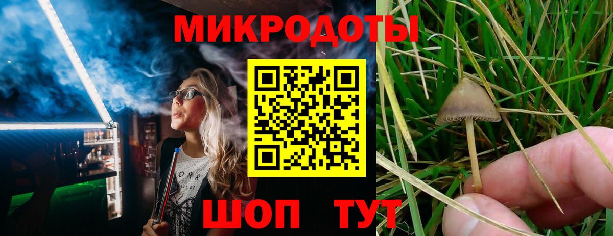 Псилоцибиновые грибы MAGIC MUSHROOMS  Псилоцибиновые грибы Psilocybine cubensis  Вход с VPN  Тосно 